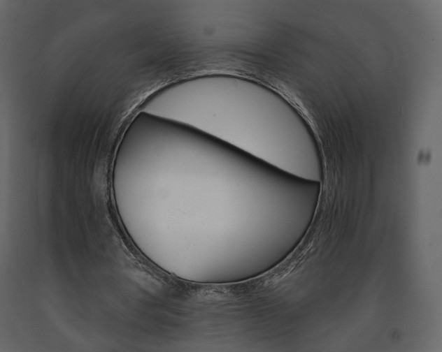 X0000091680386200708231113