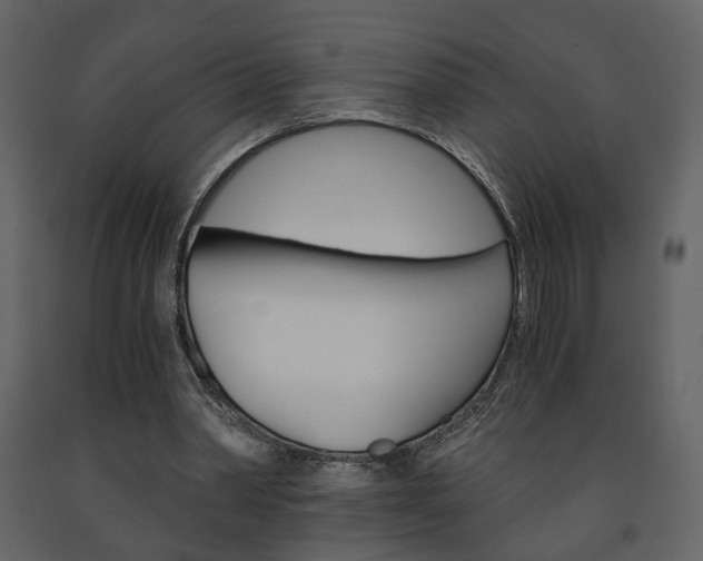 X0000091680390200708231113
