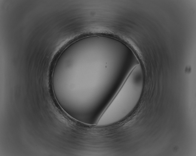 X0000091680391200708231113