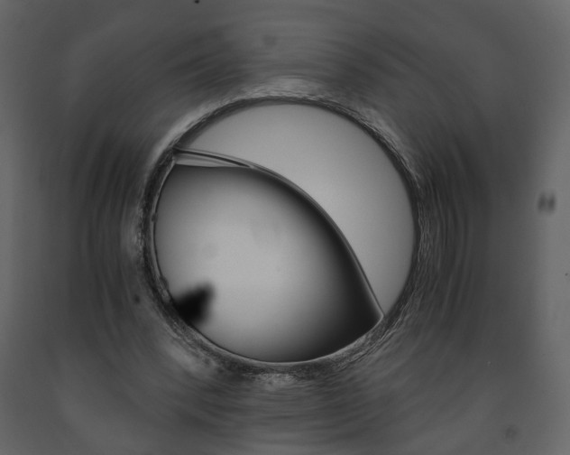 X0000091680392200708231112