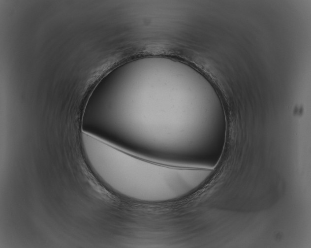 X0000091680393200708231112