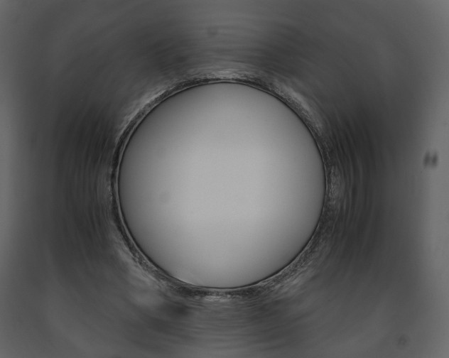 X0000091680394200708231112