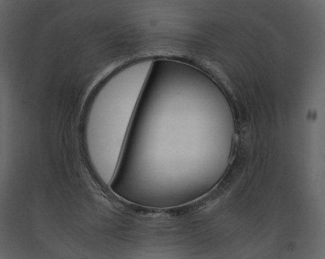 X0000091680395200708231112