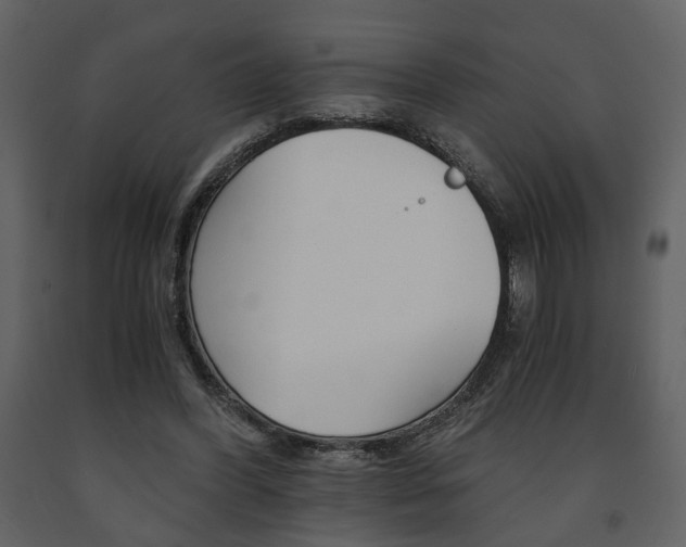 X0000091680396200708231112