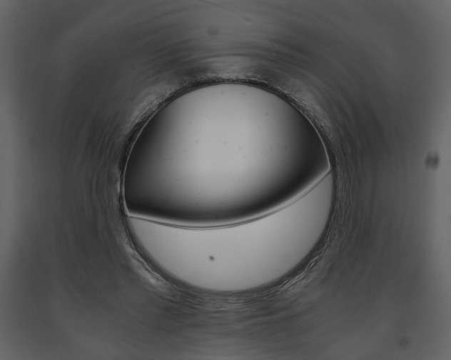 X0000091680397200708231112