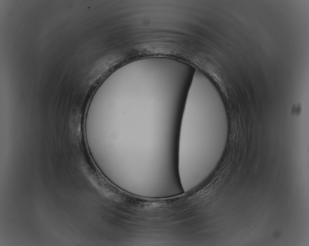 X0000091680398200708231112