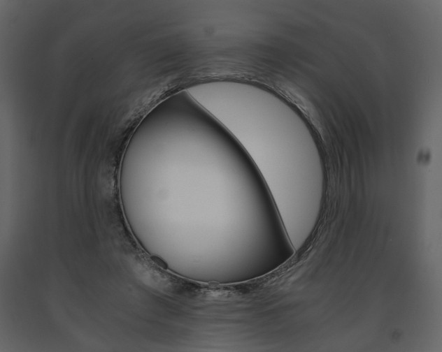 X0000091680401200708231112