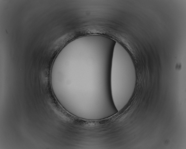 X0000091680402200708231112
