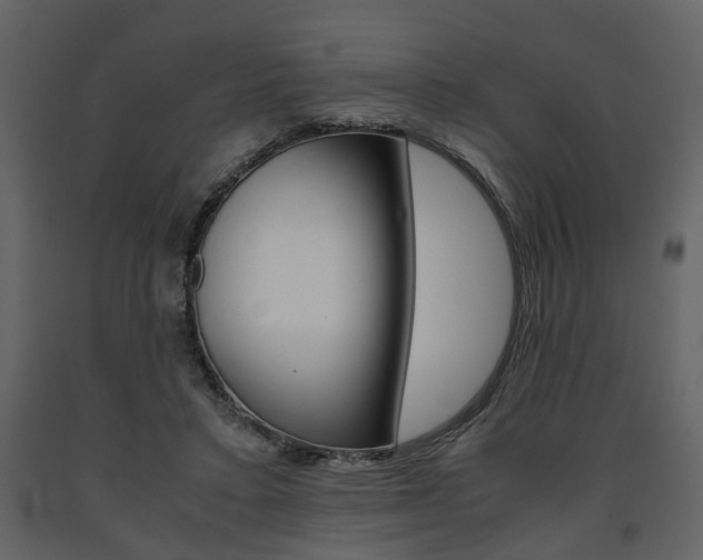 X0000091680403200708231112