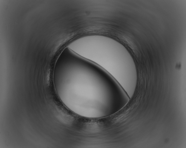 X0000091680404200708231112
