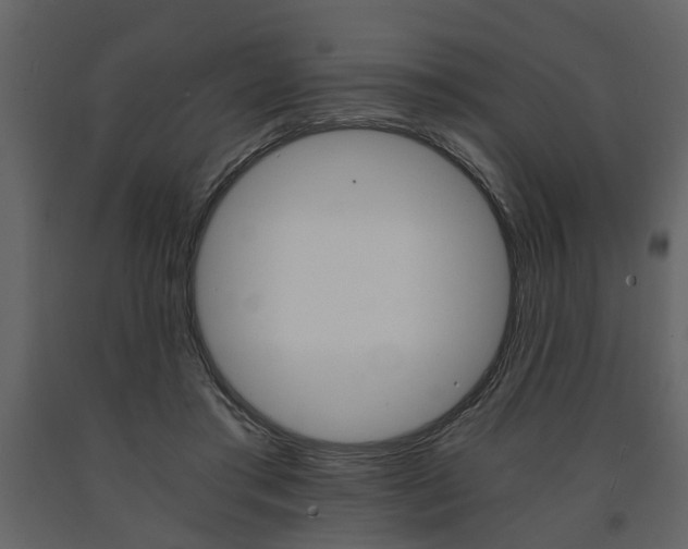 X0000091680405200708231112