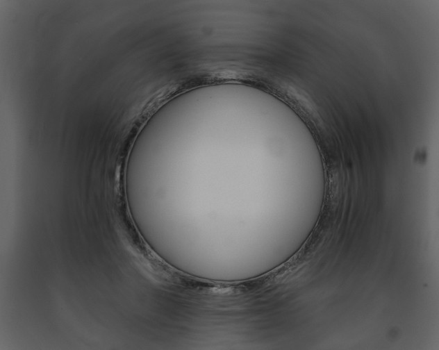 X0000091680406200708231112