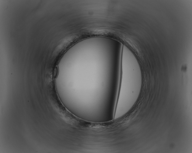 X0000091680407200708231112