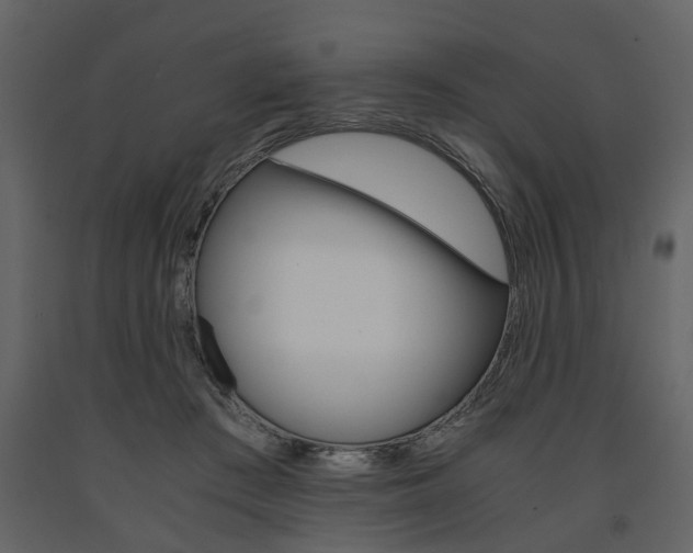 X0000091680409200708231112