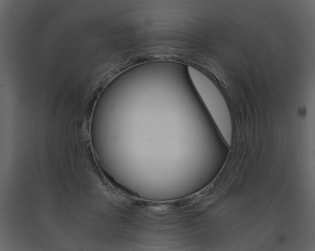 X0000091680411200708231112