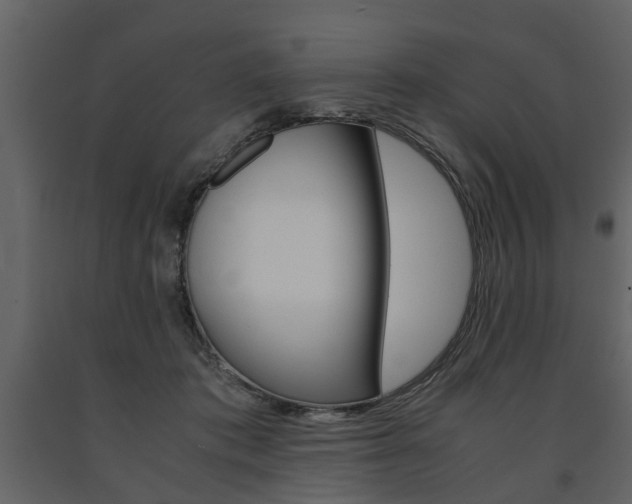 X0000091680413200708231112