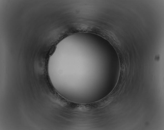 X0000091680416200708231112