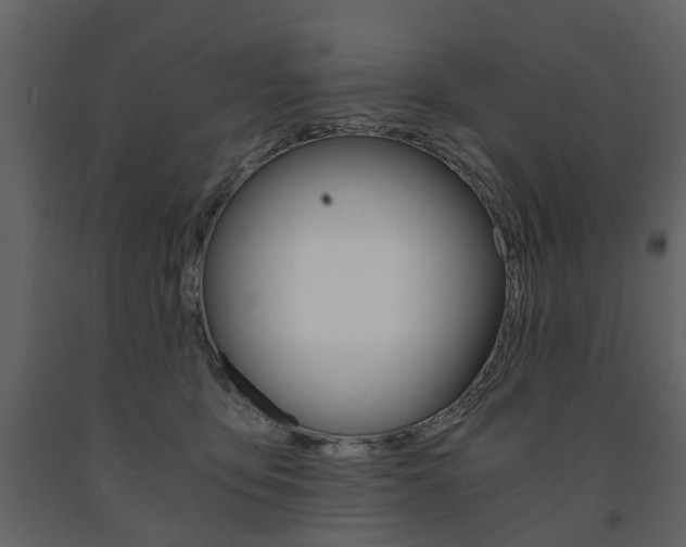 X0000091680419200708231112