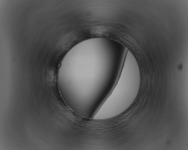 X0000091680420200708231112