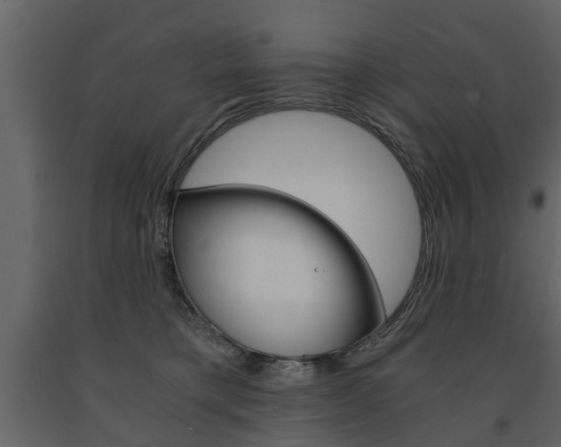X0000091680421200708231112