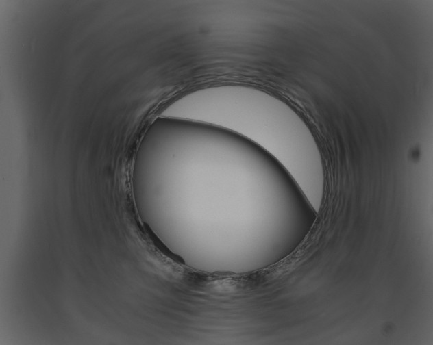 X0000091680423200708231112