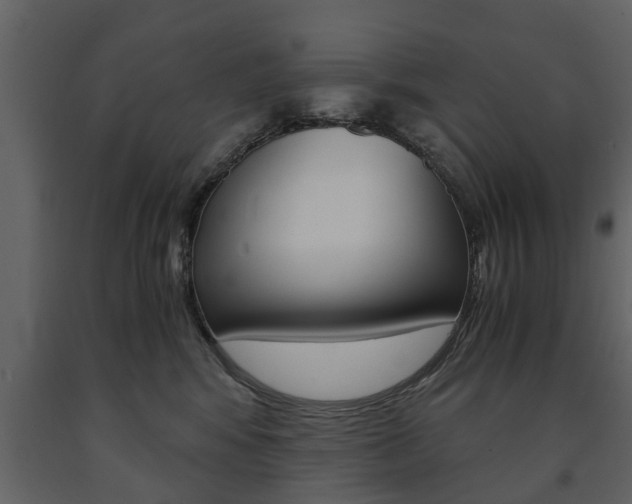 X0000091680424200708231112