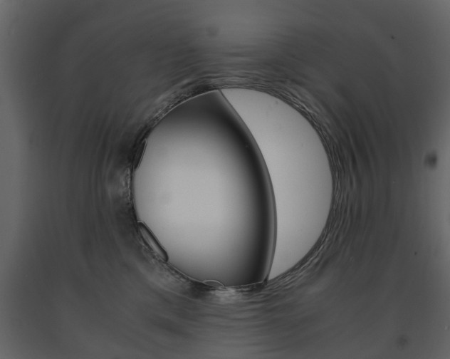 X0000091680425200708231112