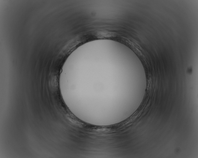 X0000091680426200708231112