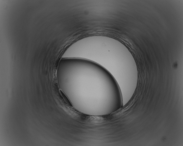 X0000091680429200708231112