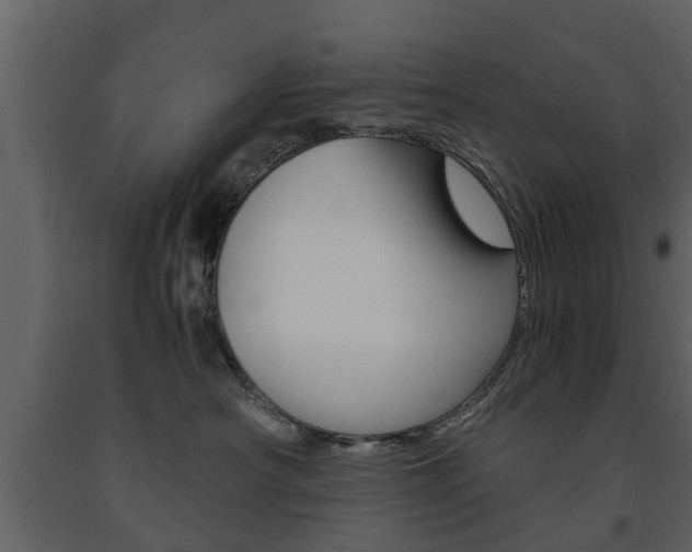 X0000091680430200708231112