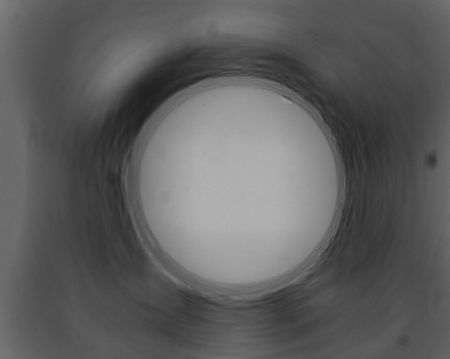 X0000091680431200708231112
