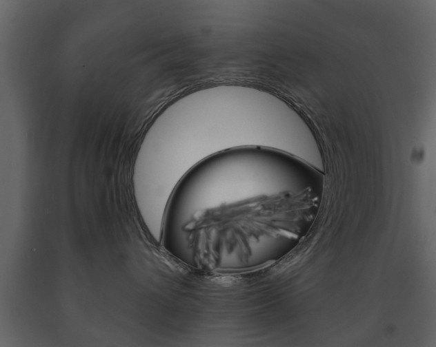 X0000091680432200708231112