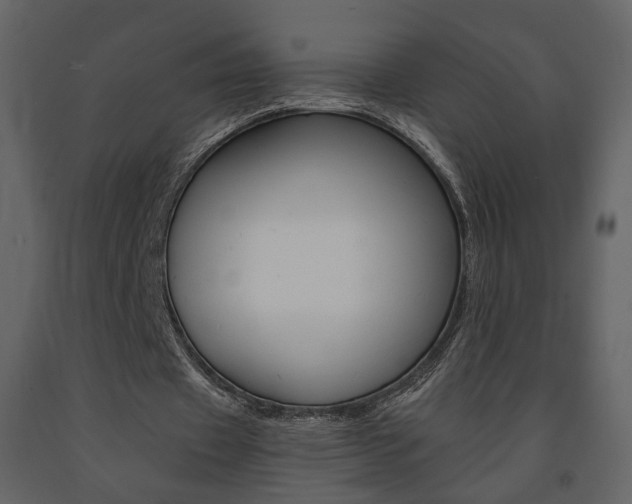 X0000091680433200708231111
