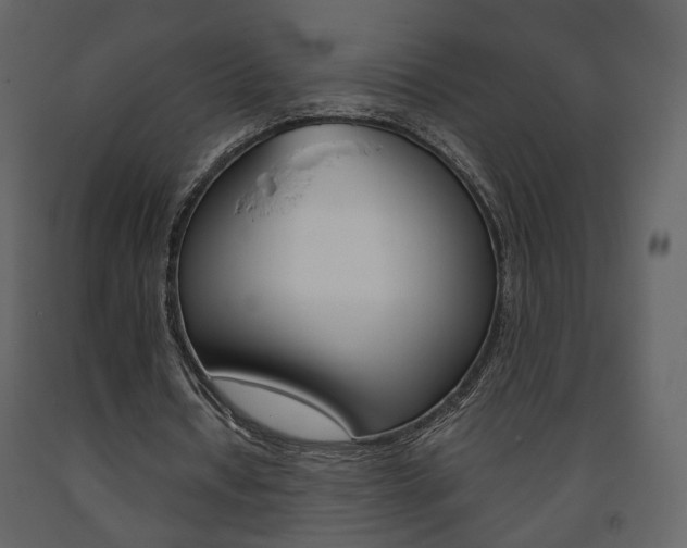 X0000091680434200708231111