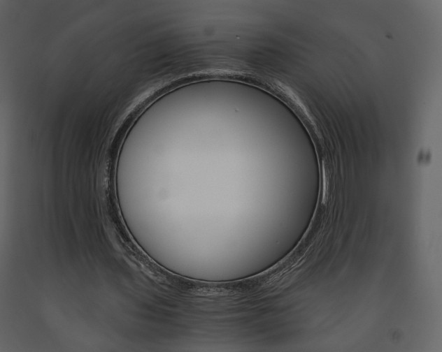 X0000091680435200708231111