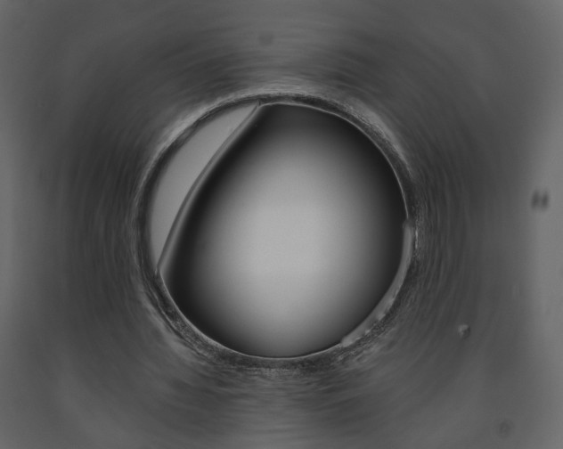 X0000091680436200708231111