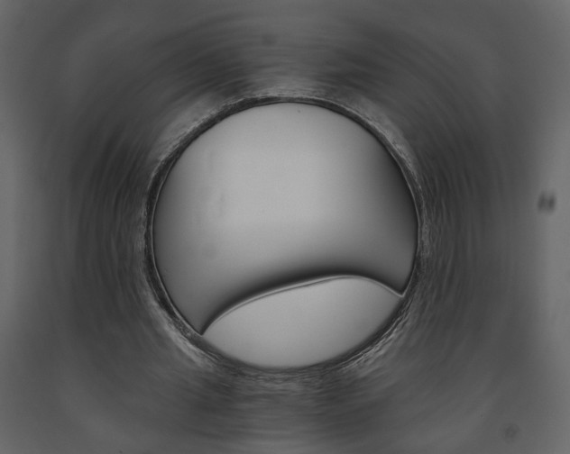 X0000091680437200708231111