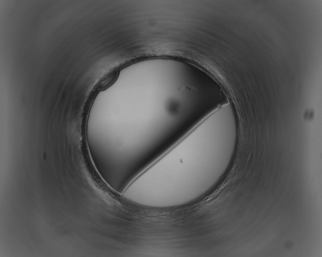 X0000091680438200708231111