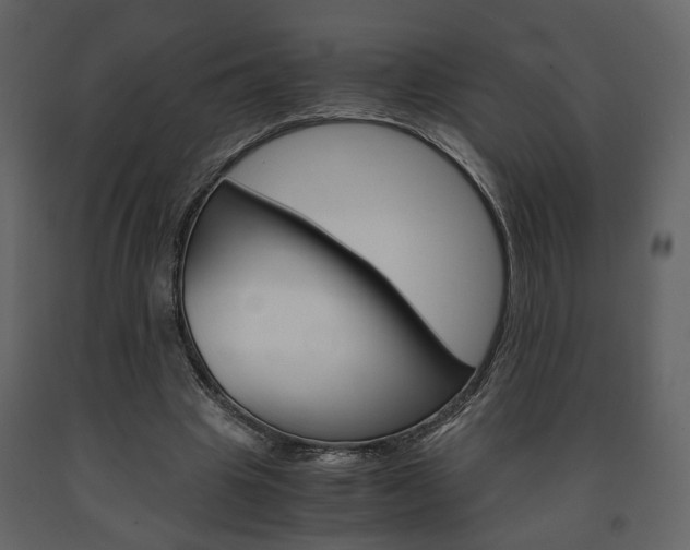 X0000091680441200708231111