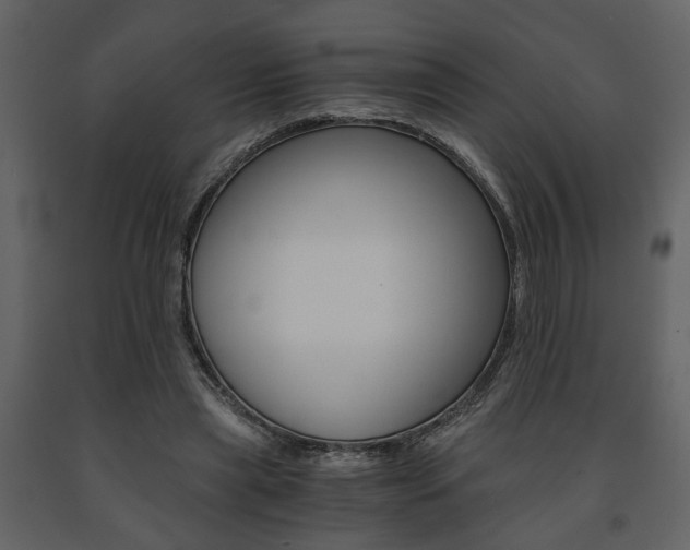 X0000091680445200708231111