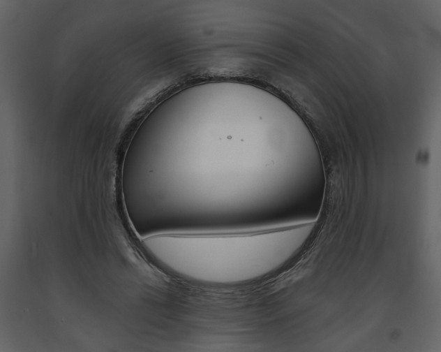 X0000091680446200708231111