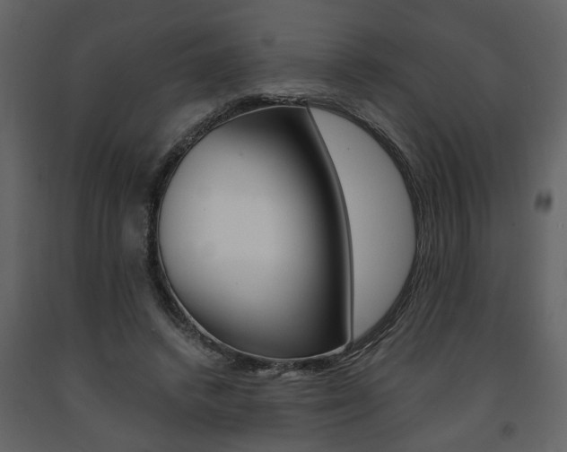 X0000091680448200708231111