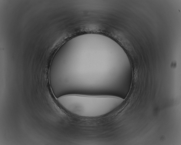 X0000091680449200708231111