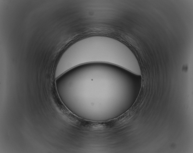 X0000091680456200708231112