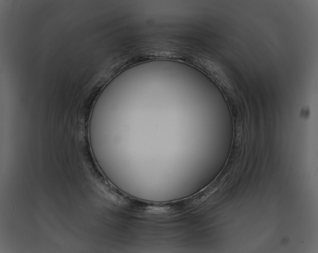 X0000091680457200708231112