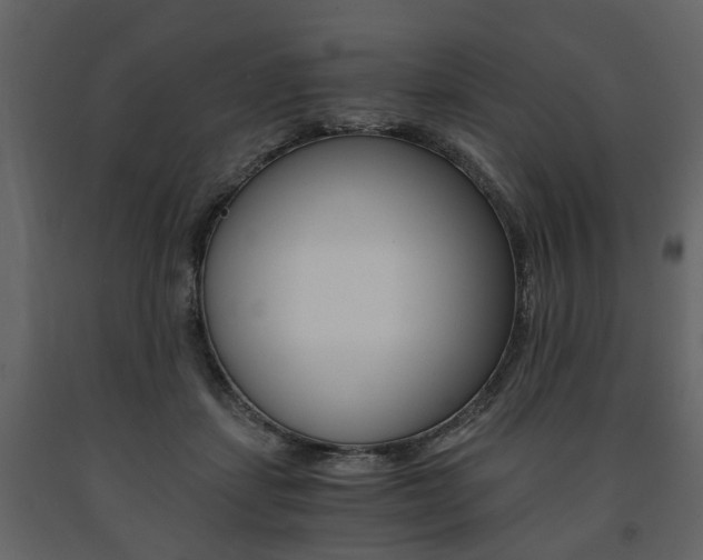 X0000091680459200708231112