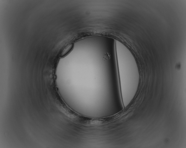 X0000091680462200708231112