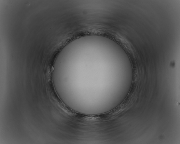X0000091680465200708231112