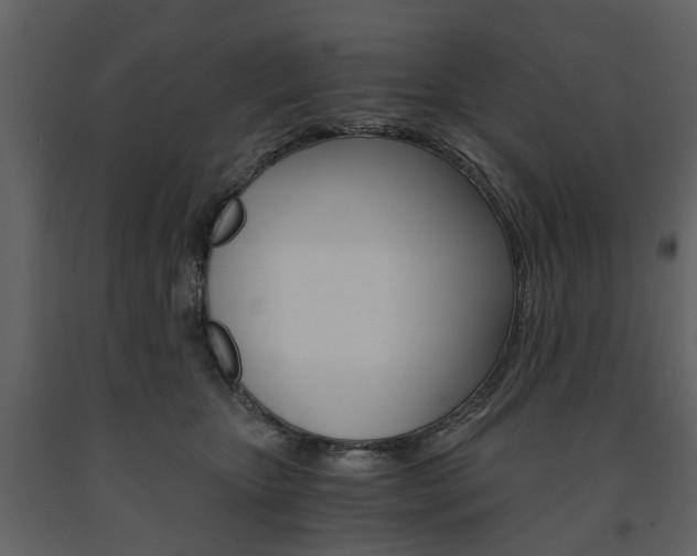 X0000091680467200708231112