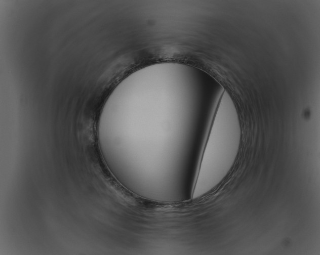 X0000091680470200708231112